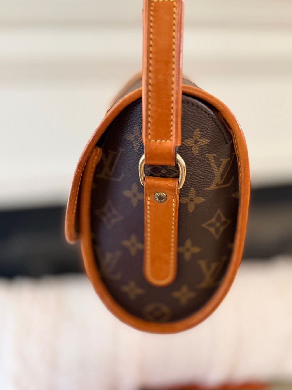 Louis Vuitton Monogram Canvas Bag - Picture 4 of 5